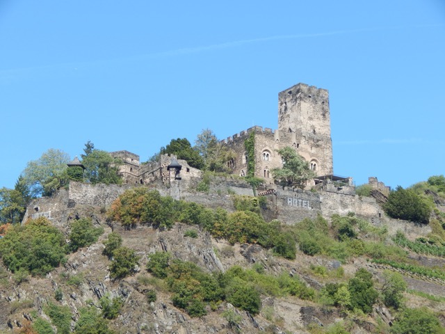 The castles along the Rhine since the Middle Ages