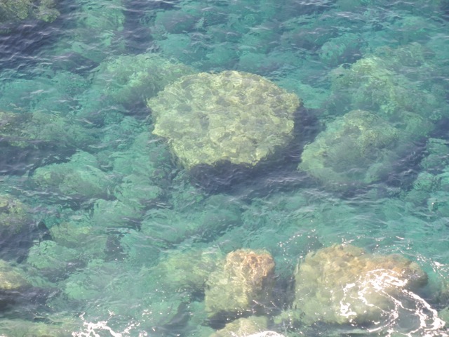 The water is crystal clear.