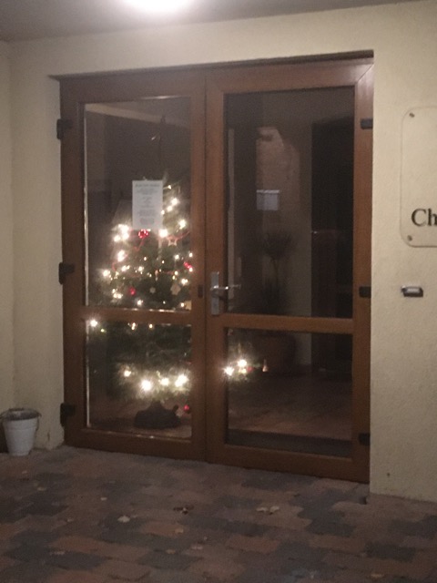 The Christmas Tree in the entrance of the building.
